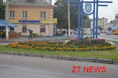 В Житомирі триває конкурс «Моє квітуче місто»