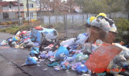 Володимир Дебой помітив, що сміття в місті не прибирається своєчасно?