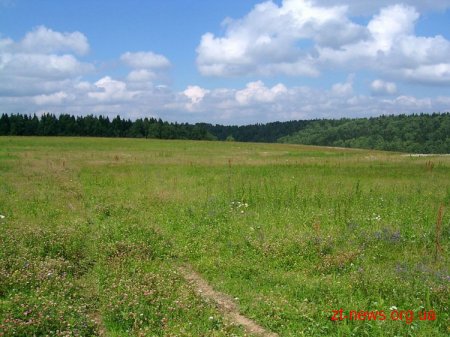 На Житомирщині прокуратура завадила спробі змінити цільове призначення двох гектарів землі