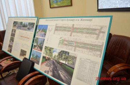 Комісія розглянула проект капітального ремонту Старого бульвару
