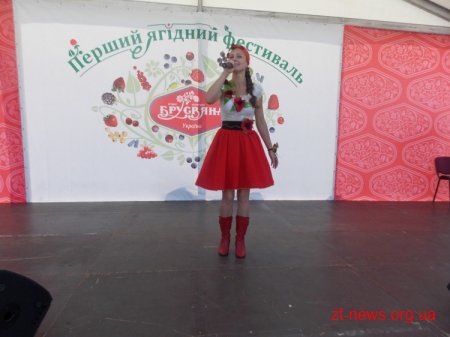 На Житомирщині пройшов Перший Всеукраїнський ягідний фестиваль