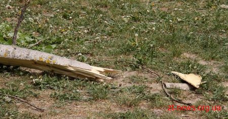 У Житомирі велика гілка зі старої тополі впала на дитячий майданчик