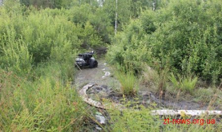 На Житомирщині продовжують шукати методи боротьби з незаконним видобутком бурштину