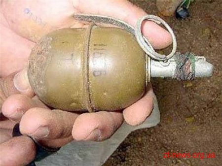 На Житомирщині у дворі приватного будинку знайшли гранату