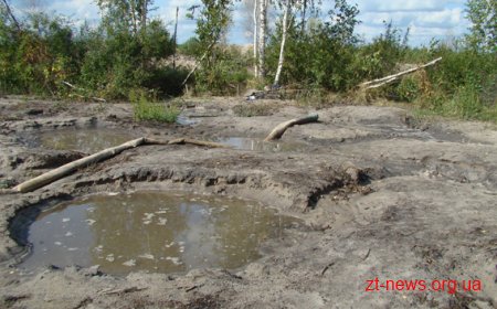 На Житомирщині добувачі бурштину пошкодили 174 гектари лісу