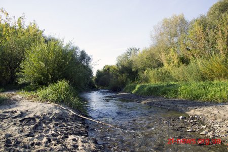 Житомирський РЕМ не причетний до зниження рівня води у річці Тетерів