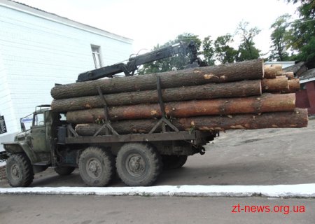 Коростенська міліція з'ясовує походження і маршрут деревини, яка перевозилася без жодних документів