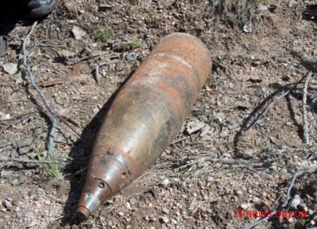 В Радомишльському районі випадкові перехожі знайшли 1 мінометну міну та 1 артснаряд