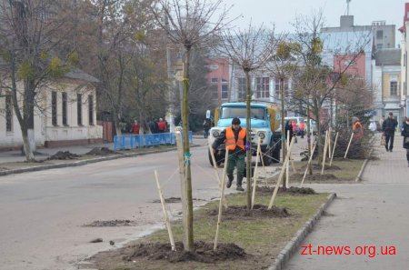 У рамках місячника благоустрою на вулицях міста висаджують дерева