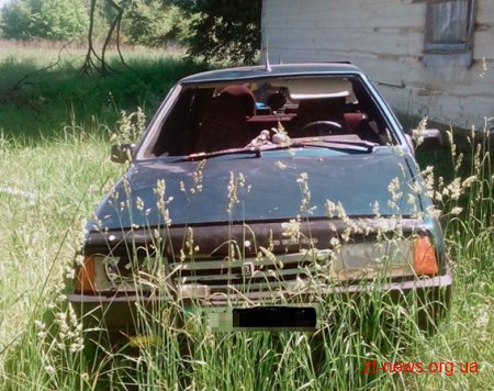 На Житомирщині правоохоронці розшукують водія, який автівкою збив чоловіка