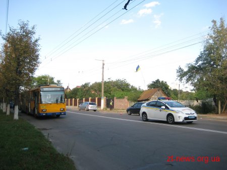 У Житомирі маршрутка наздогнала тролейбус