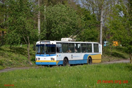 В Житомирі обіцяють забезпечити підвезення пасажирів до київської електрички