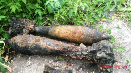 В Коростені піротехніки знищили 5 вибухонебезпечних предметів, які чоловік знайшов у річці