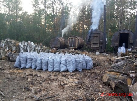 Екологи у Житомирі розповіли, що не тиснуть на бізнес легальних випалювачів вугілля