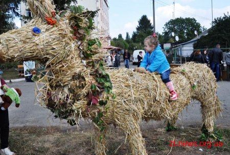 У Житомирі вдруге пройшов фестиваль «Свято українського коня»