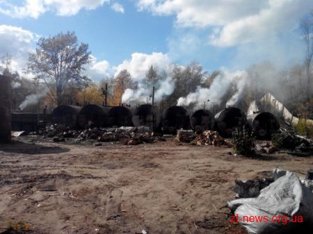 На Житомирщині СБУ припинила незаконне випалювання деревного вугілля