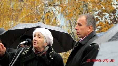В Житомирі мітингували проти високих тарифів
