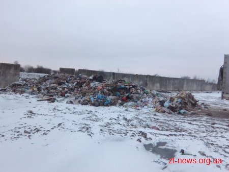 Новорічне львівське сміття прибуло на Житомирщину