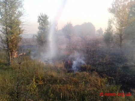 Кілька десятків людей півдоби боролися з вогнем на торфовищі в Олевському районі