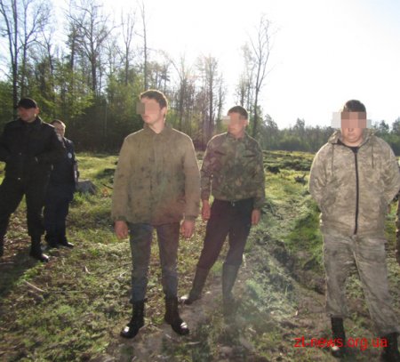 У Коростенському районі поліція влаштувала засідку на підпільних лісорубів