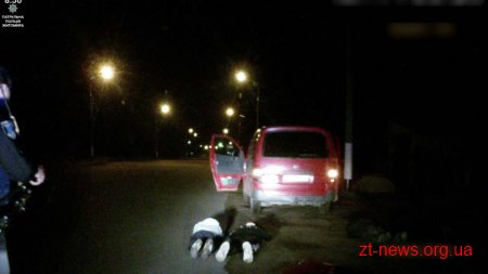 У Житомирі поліцейські повернули викрадений автомобіль власнику
