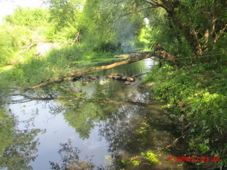 У Житомирі розпочали очищення річки Кам’янка