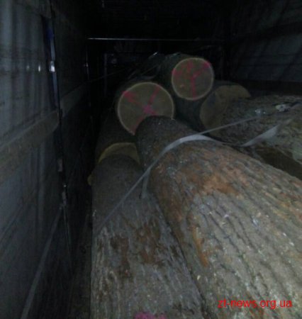 У Житомирському районі поліцейські виявили склад краденої деревини