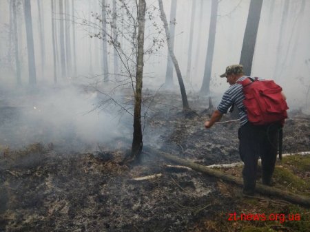 На Житомирщині триває ліквідація лісової пожежі у Поліському природному заповіднику