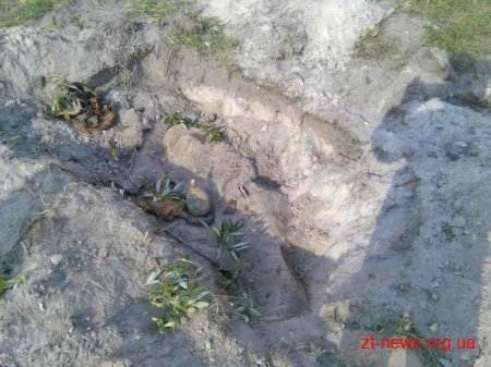 Житель Житомирщини шукав старовинні речі, а знайшов рештки невідомого солдата