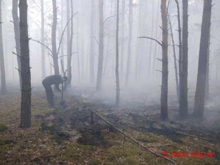 Пожежу у Поліському природному заповіднику локалізовано
