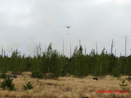 Пожежу у Поліському природному заповіднику локалізовано