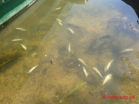Житомирський рибоохоронний патруль встановлює причини загибелі риби на р. Тетерів