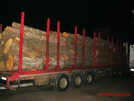На Житомирщині затримали крадіїв деревини