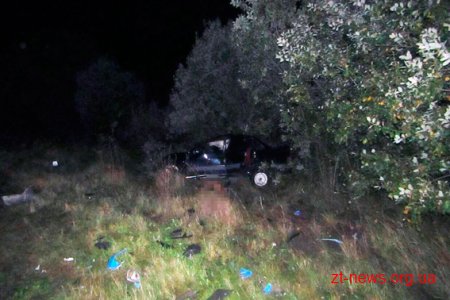 На Житомирщині перекинулось авто: загинула пасажирка