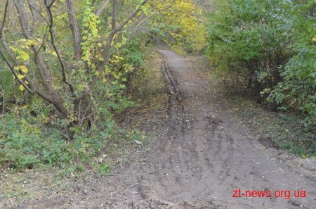 У Житомирі розпочали будівництво пішохідної доріжки до річки Кам'янки