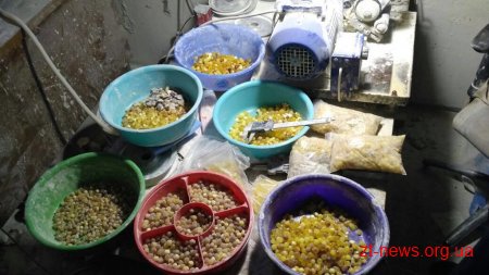 На Житомирщині викрили підпільний цех з обробки бурштину