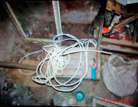 У Житомирі поліція охорони затримала трьох юнаків під час крадіжки кабелів