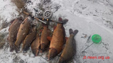 Житомирський рибоохоронний патруль вилучив 289 кг браконьєрської риби на ринках області