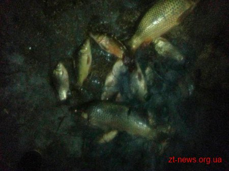 Поліція «зловила» киян на крадіжці риби зі ставу на Житомирщині