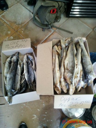 Житомирський рибоохоронний патруль вилучив за 8 днів майже 30 кг незаконно виловленої риби