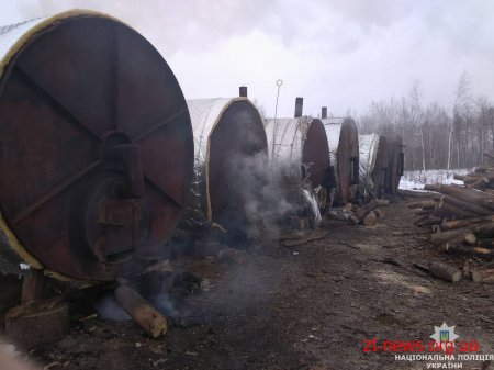 Поблизу Житомира поліція викрила та припинила нелегальне виробництво вугілля