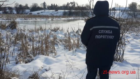 На Житомирщині рятувальники вилучили з крижаної пастки дикого лебедя