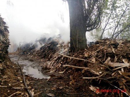 У Бердичеві на території деревообробного підприємства загорілися відходи деревини