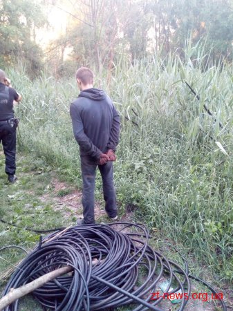 У Бердичеві поліцейські охорони затримали парубка під час крадіжки телефонного кабелю