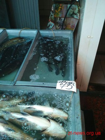 За першу половину травня Житомирський рибоохоронний патруль виявив 123 порушення