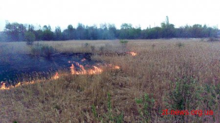 За добу вогнеборцями області ліквідовано 2 загоряння сухої трави та 1 осередок торфу