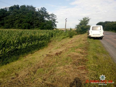 На Житомирщині водій "Peugeot" злетів з дороги та врізався в електроопору
