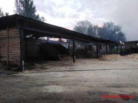 На Житомирщині горів склад та цех з виробництва паливних пелетів