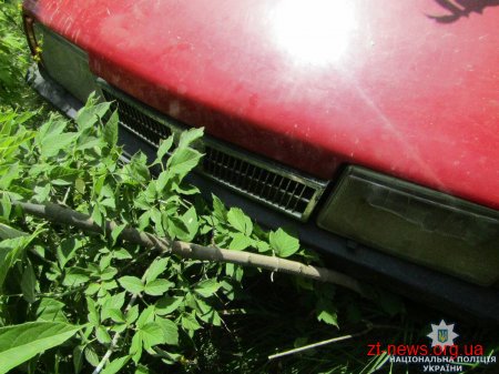 На Житомирщині п'яний чоловік викрав автомобіль у рибалки