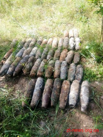 В лісосмузі поблизу с. Малинівка грибники виявили 45 боєприпасів
